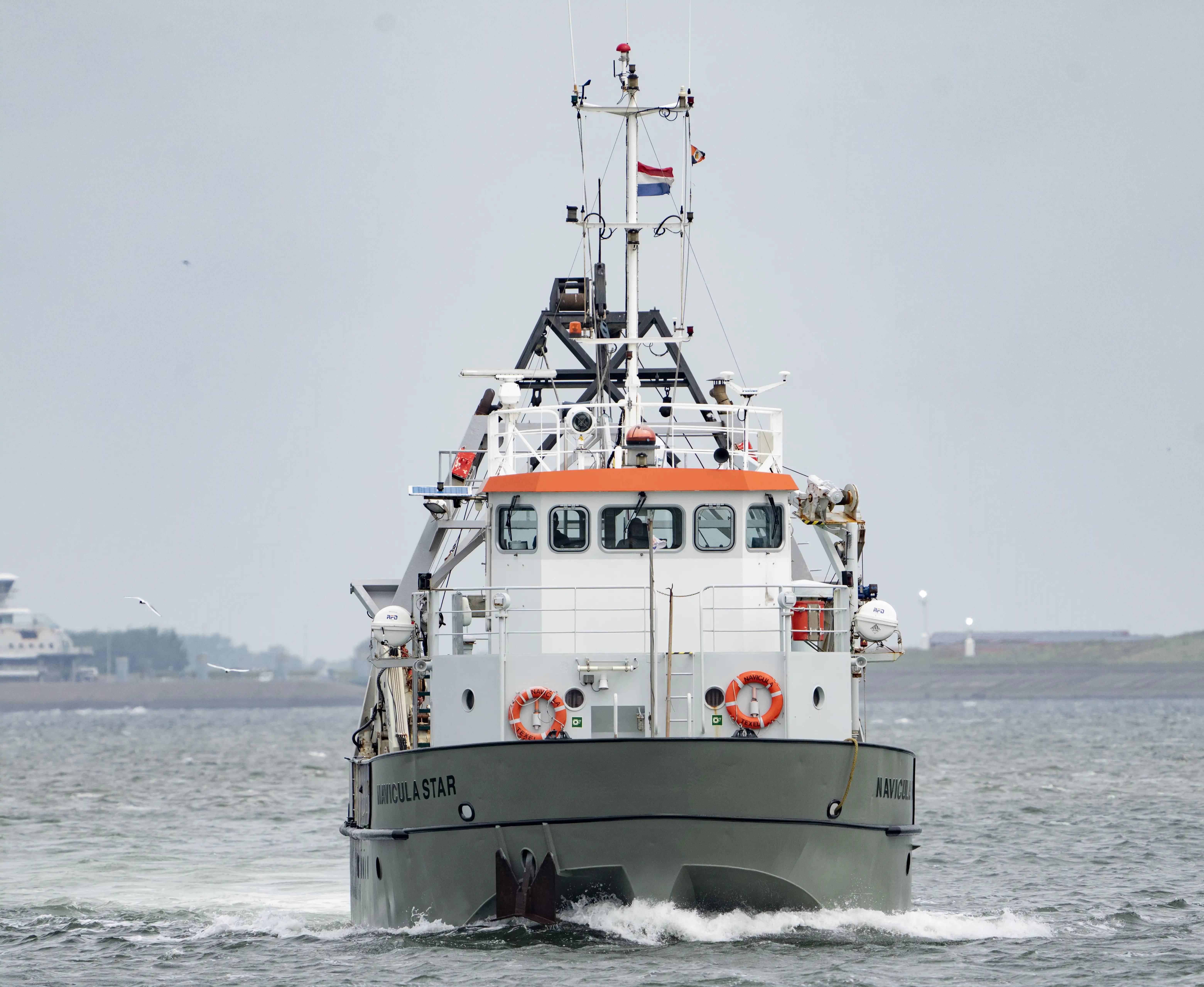 Fleet - navicula star